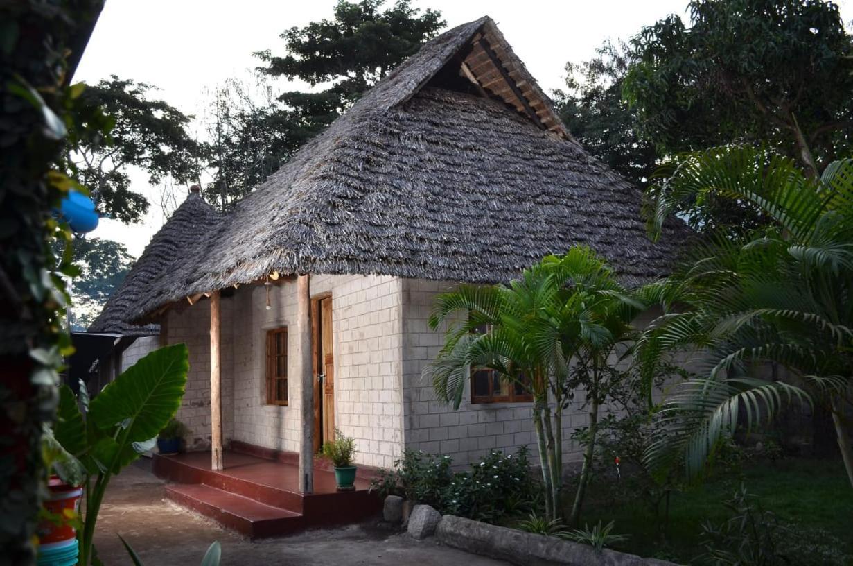 Charming Eco-Homestay Near Kilimanjaro International Airport Arusha Exterior photo